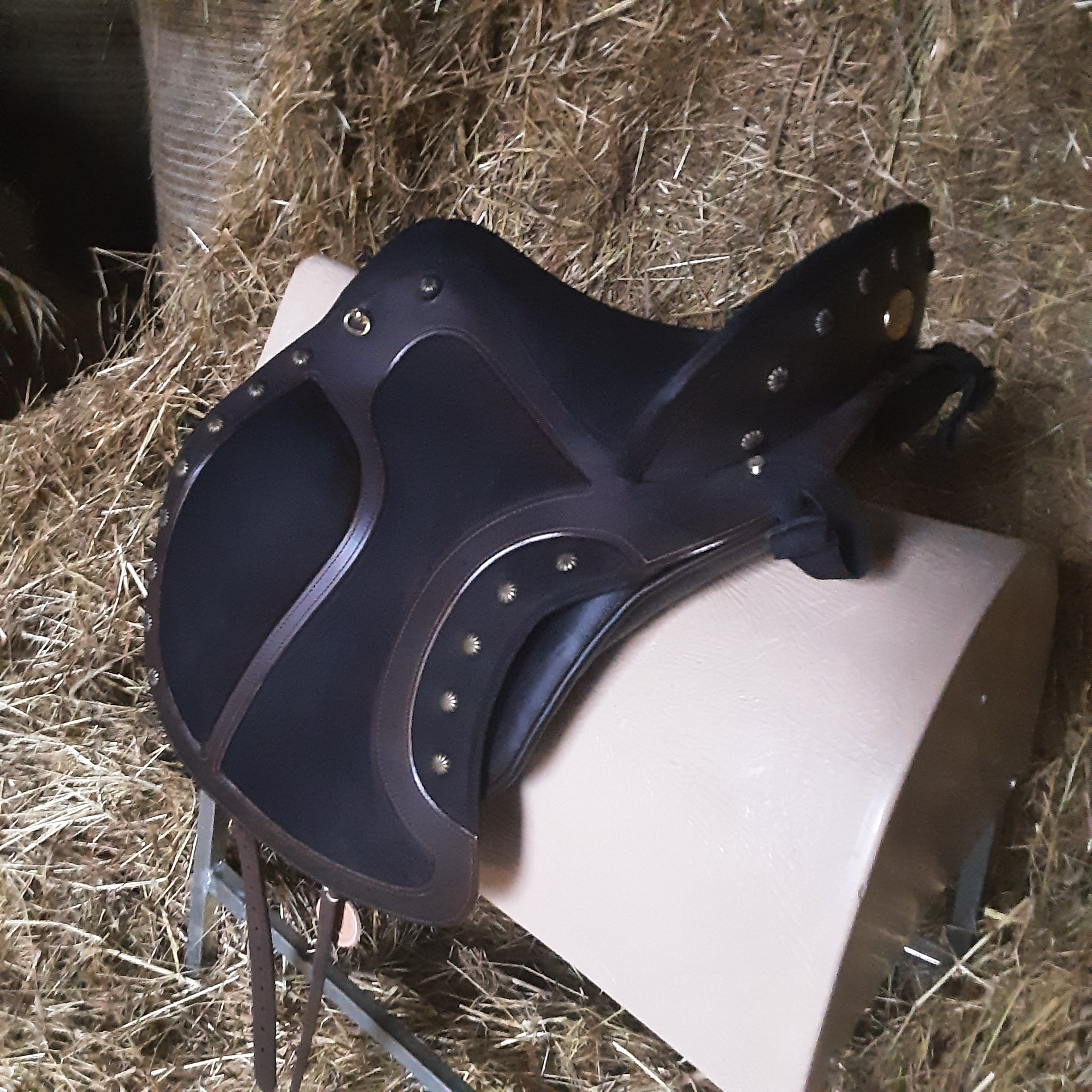 * Deuber Sattel "El Campo SKL shorty" S2 african nubuk schwarz – Bild 3